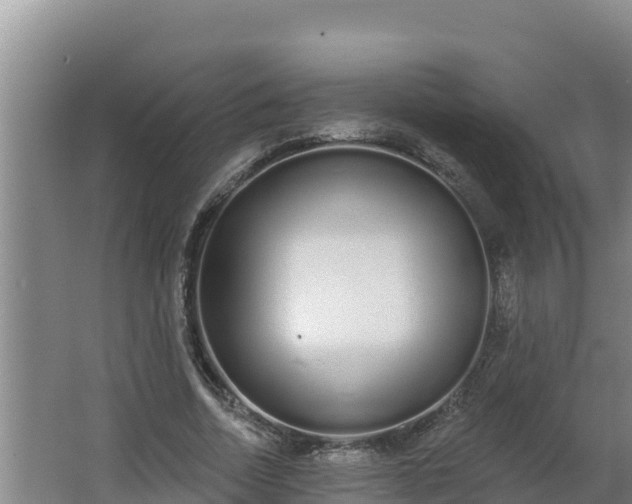 X0000064050730200602031623