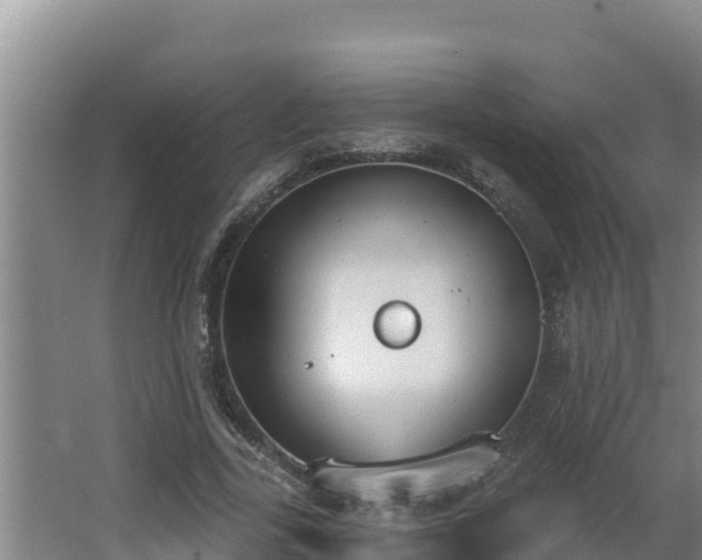 X0000064050731200602031623