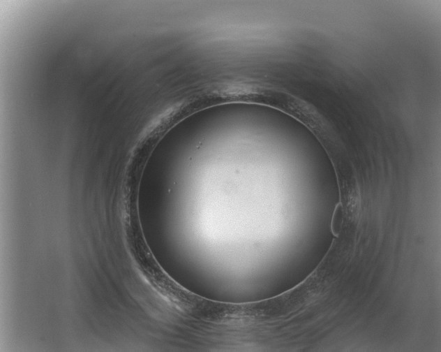 X0000064050732200602031623