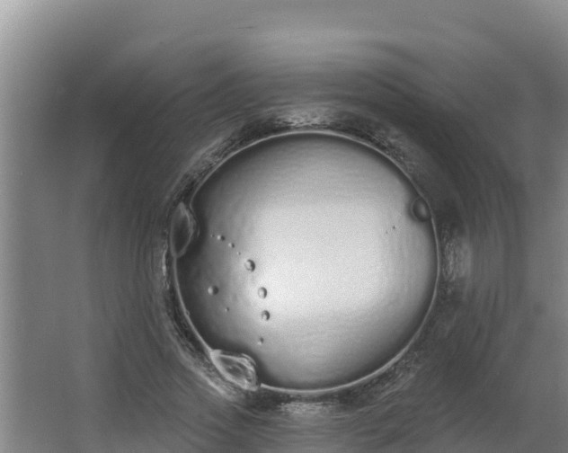 X0000064050733200602031623