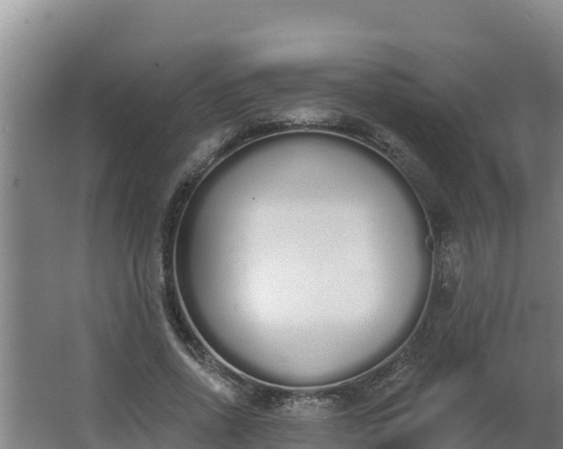 X0000064050734200602031623