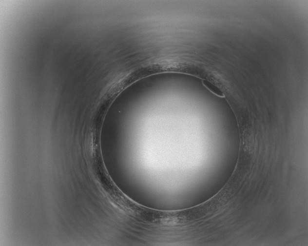 X0000064050740200602031623