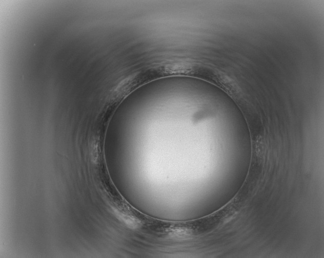 X0000064050741200602031623