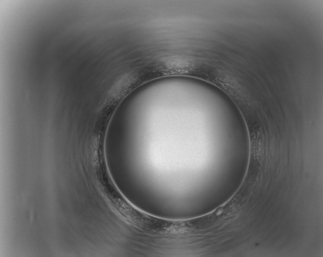 X0000064050742200602031623