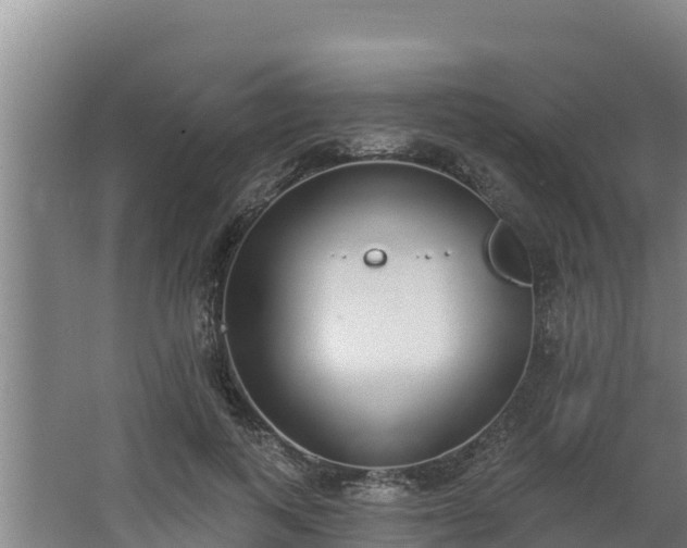 X0000064050743200602031623