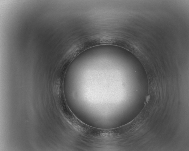 X0000064050744200602031623