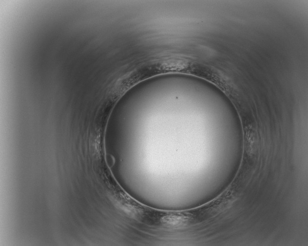 X0000064050745200602031623