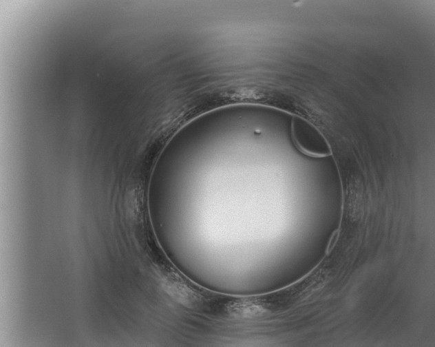 X0000064050747200602031623