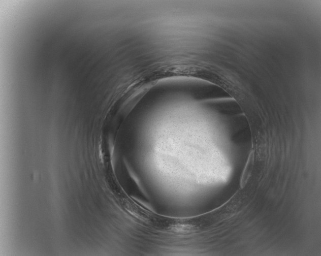 X0000064050748200602031623