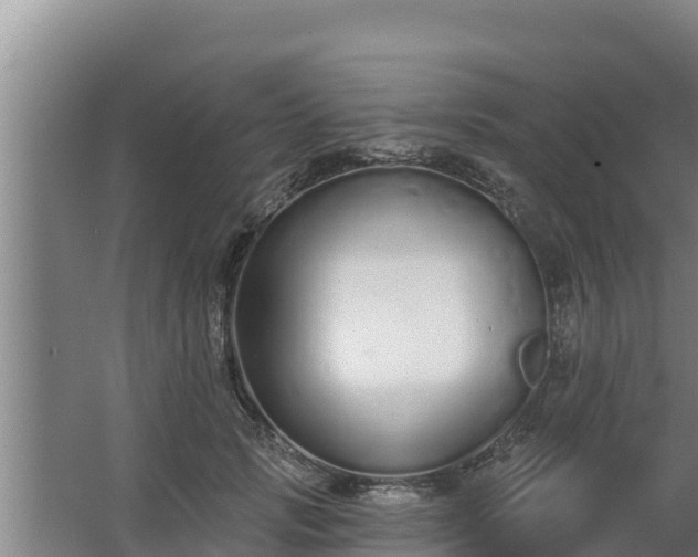 X0000064050749200602031623