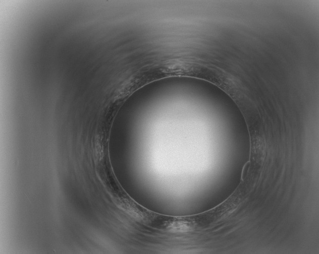 X0000064050751200602031623