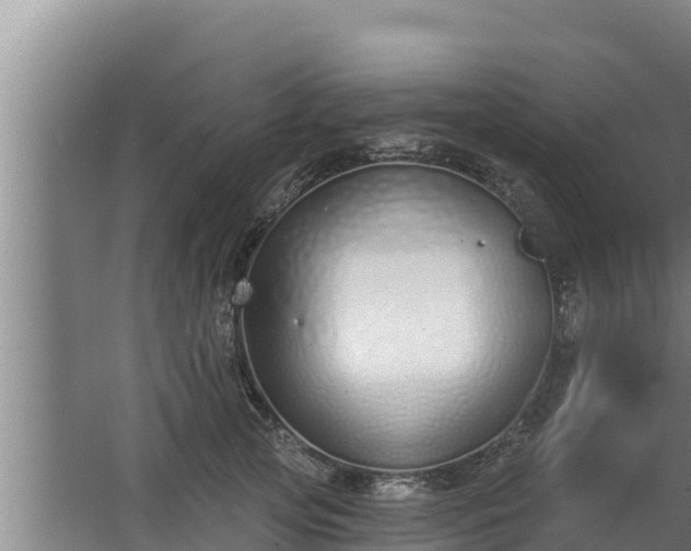 X0000064050753200602031623