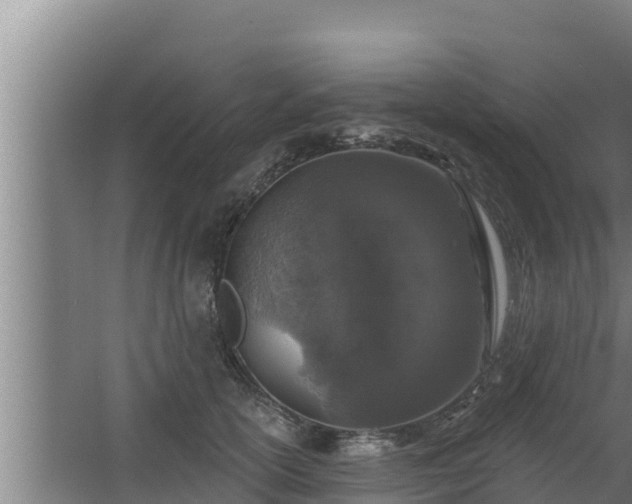 X0000064050754200602031623