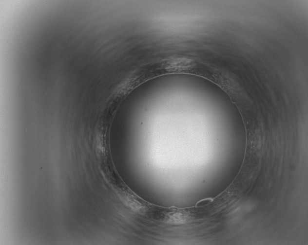 X0000064050755200602031623