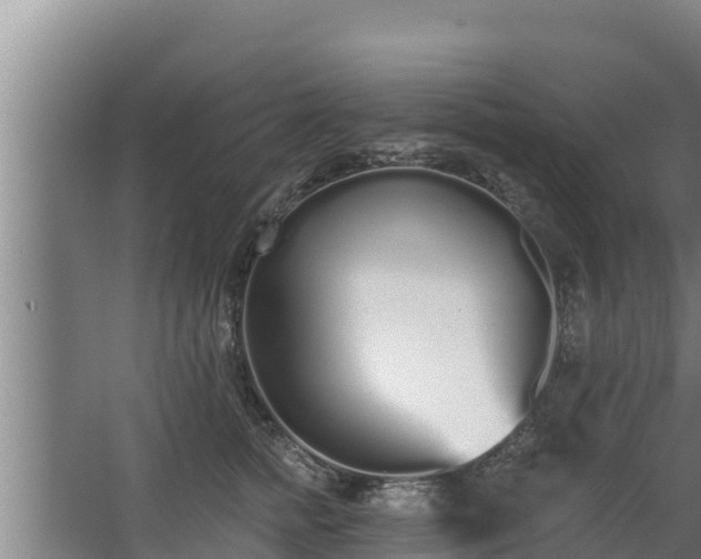 X0000064050758200602031623