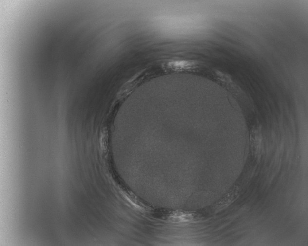 X0000064050760200602031623