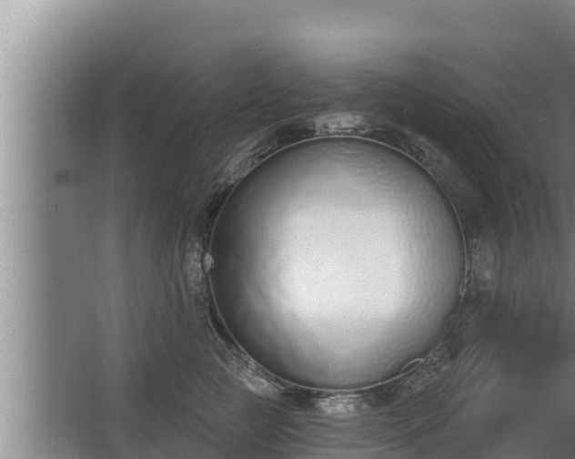 X0000064050761200602031623