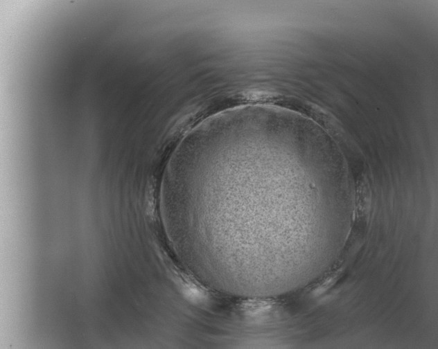 X0000064050762200602031623