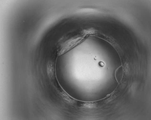 X0000064050763200602031623