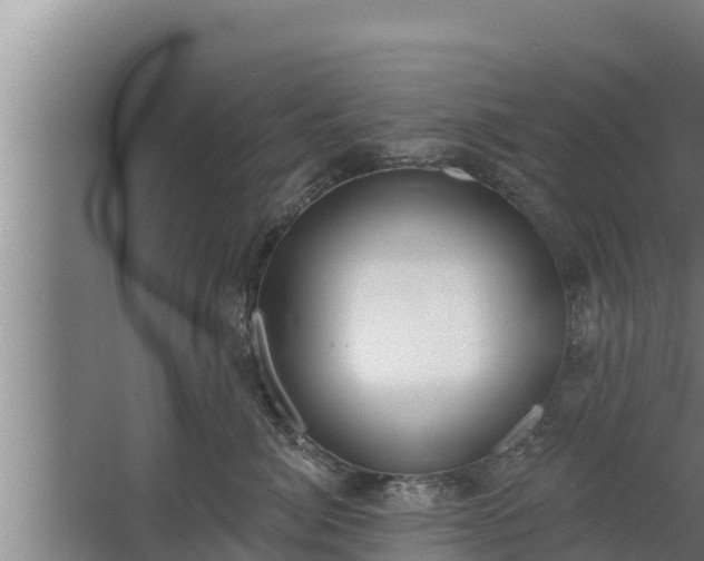 X0000064050764200602031623