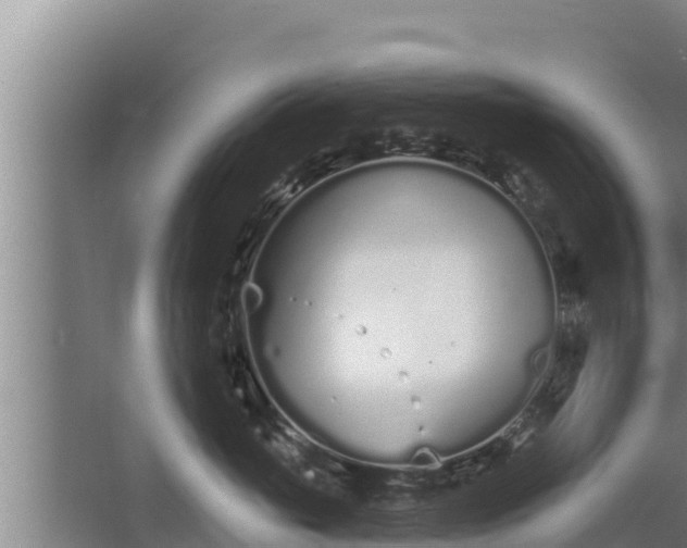 X0000064050765200602031623