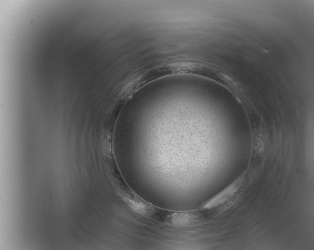 X0000064050766200602031623