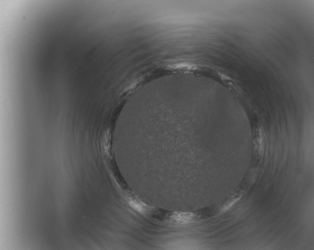 X0000064050767200602031623