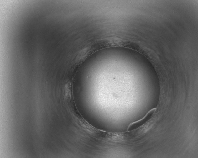 X0000064050768200602031623