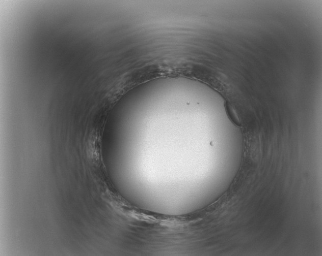 X0000064050770200602031622