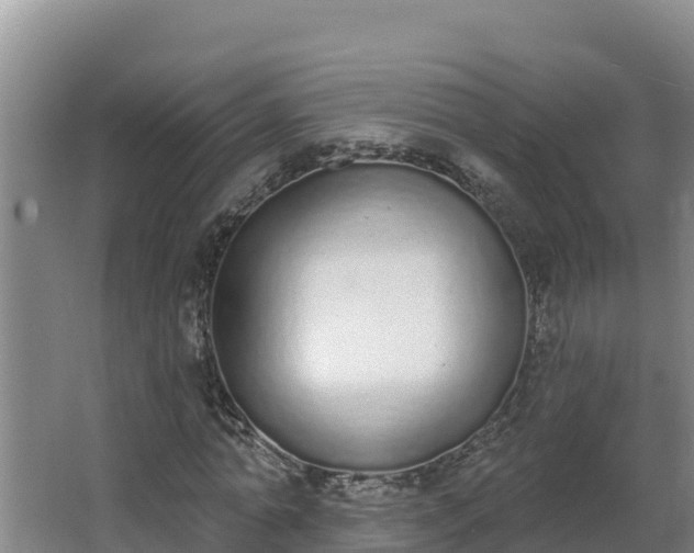 X0000064050774200602031622