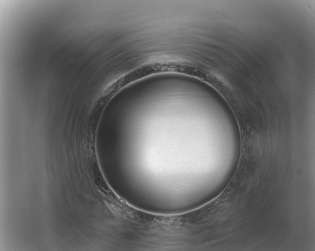 X0000064050775200602031622