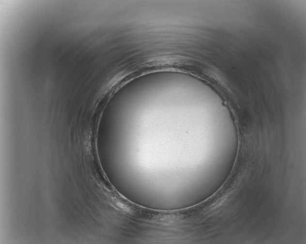 X0000064050778200602031622