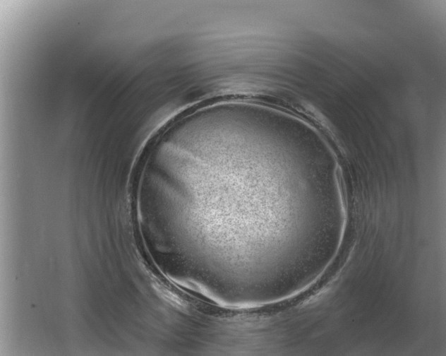 X0000064050779200602031622