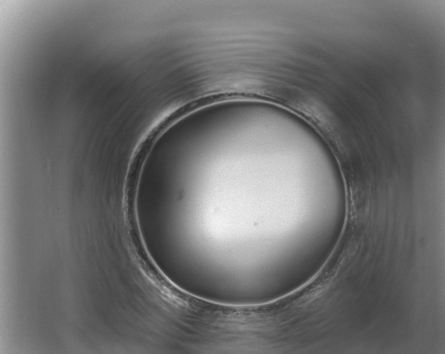 X0000064050780200602031622