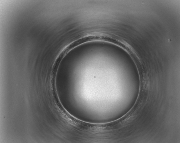 X0000064050783200602031622