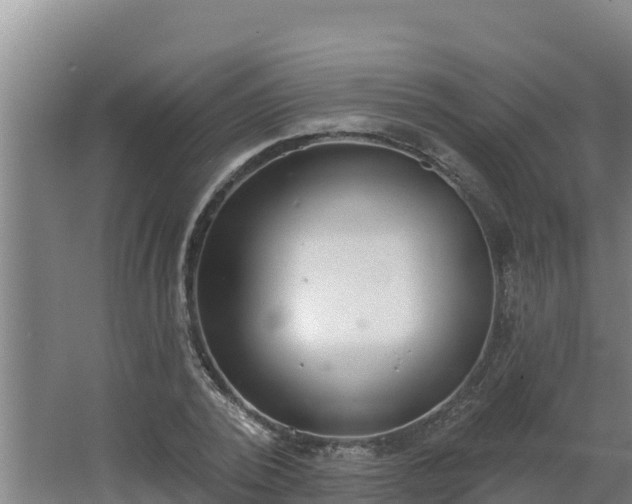 X0000064050784200602031622