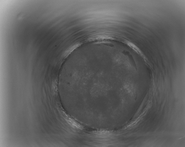 X0000064050785200602031622