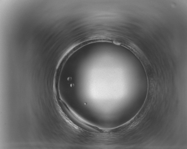 X0000064050788200602031622