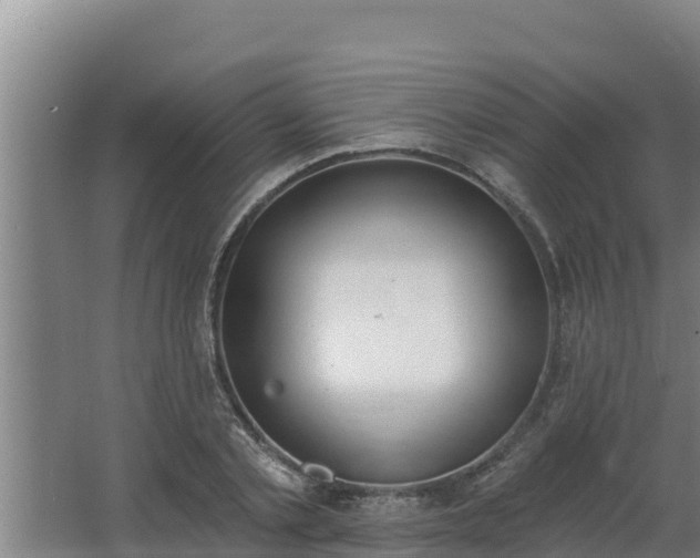 X0000064050789200602031622