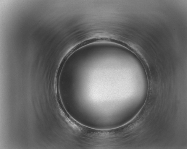 X0000064050791200602031622