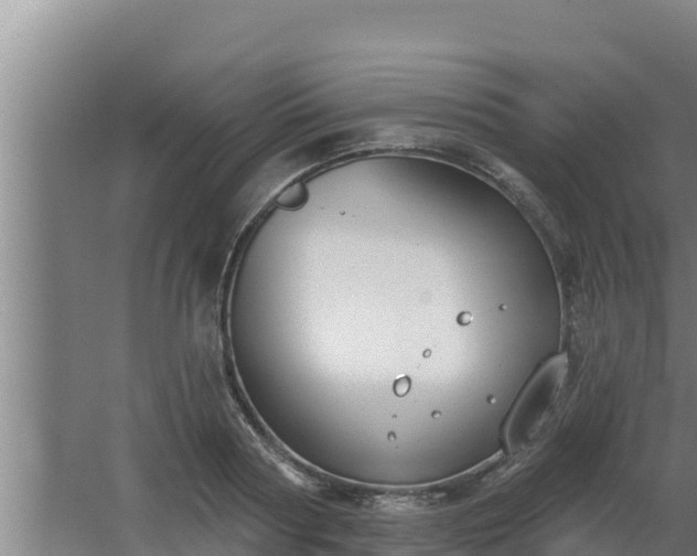 X0000064050794200602031622