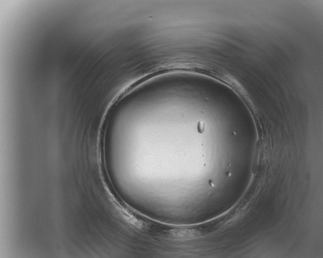 X0000064050795200602031622