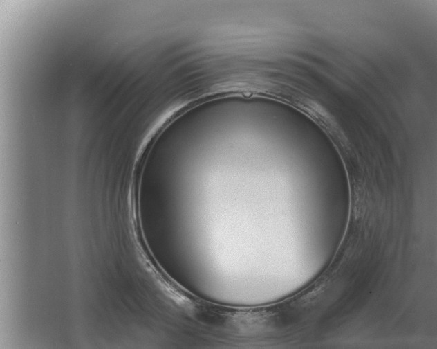 X0000064050796200602031622