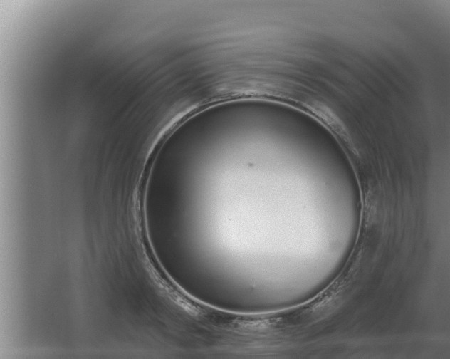 X0000064050798200602031622