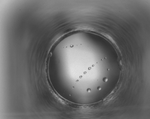 X0000064050799200602031622