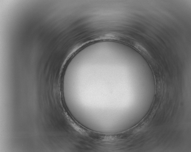 X0000064050800200602031622