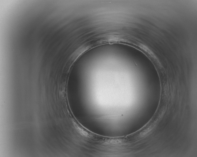 X0000064050801200602031622