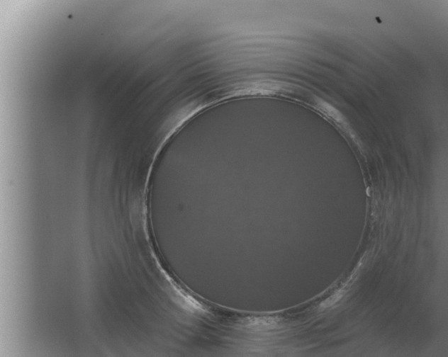 X0000064050802200602031622