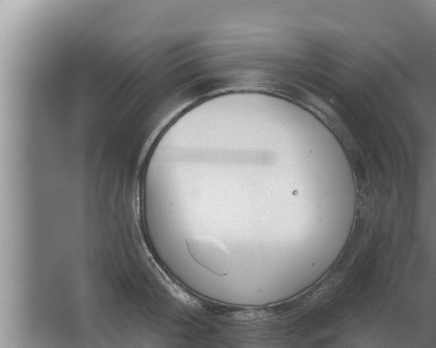 X0000064050804200602031622