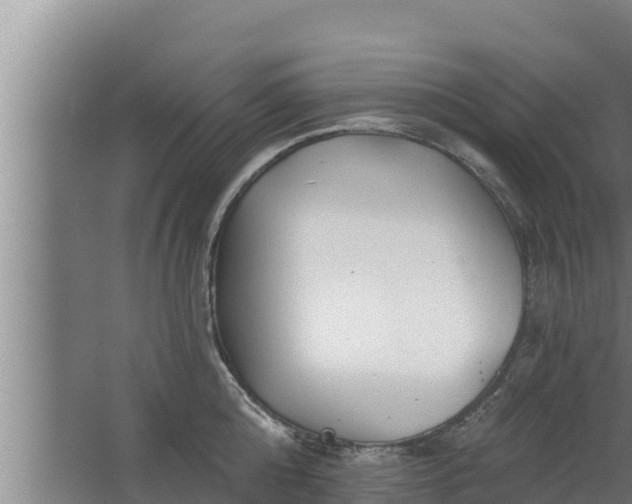 X0000064050808200602031622